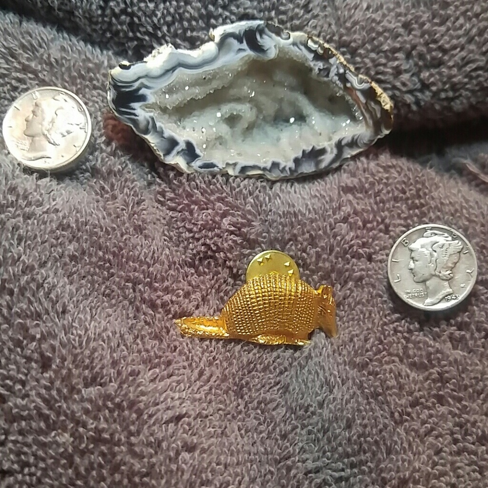 Armadillo pin